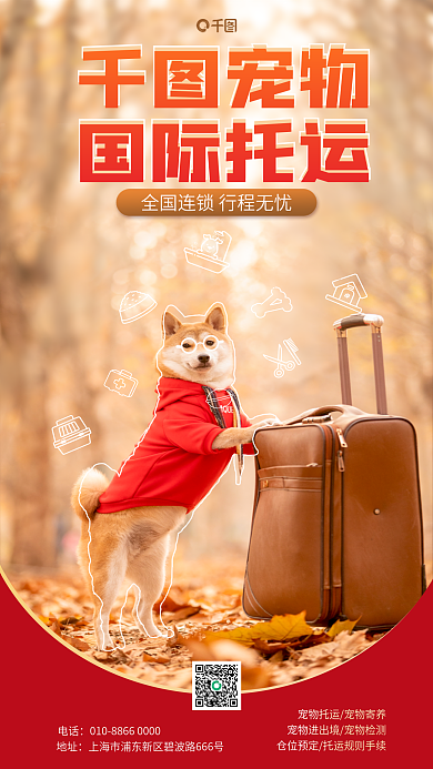 宠物国际托运宠物便利服务宣传促销海报
