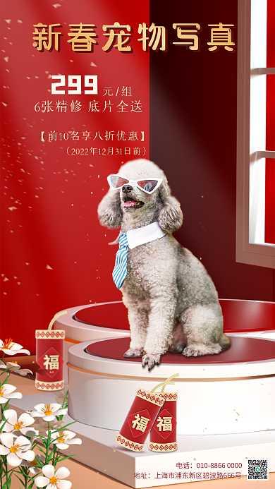 宠物新春299元组宠物便利服务促销宣传海报