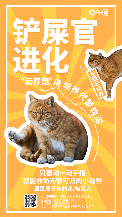 铲屎铲屎官进化云领养宠物流浪猫咪公益海报