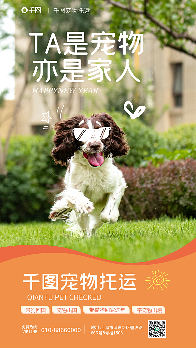 宠物国际宠物托运TA是宠物便利服务宣传促销海报