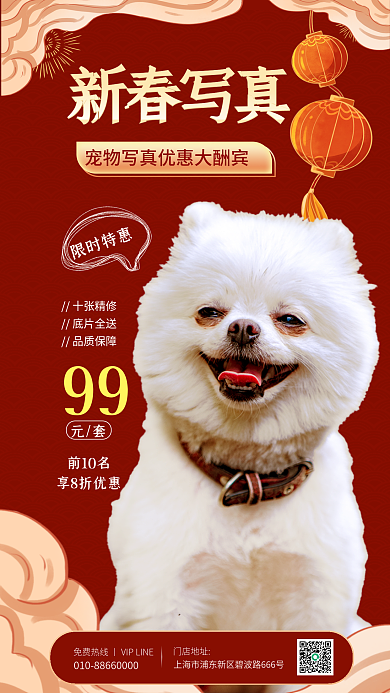 宠物新春限时特惠新春写真便利服务促销海报