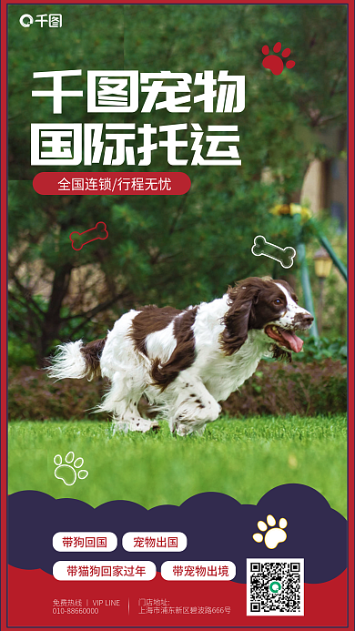 宠物国际托运宠物便利服务宣传促销