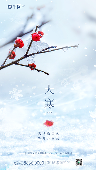 简约小清新大寒DAHAN节气海报
