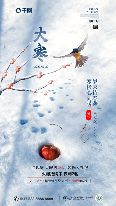 雪天摄影图大寒大寒节气节气地产借势海报