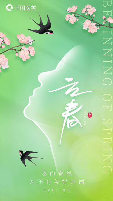 立春医美轮廓创意美容海报