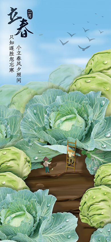 包菜立春二月海报