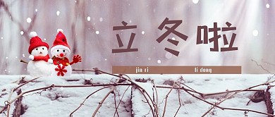 立冬雪白色摄影图公众号首图