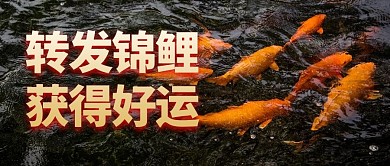 转发锦鲤获得好运鲤鱼黄色老年风公众号首图