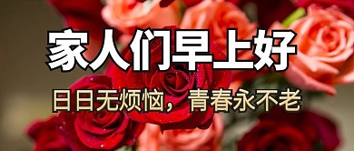 家人们早上好玫瑰花红色老年风公众号首图