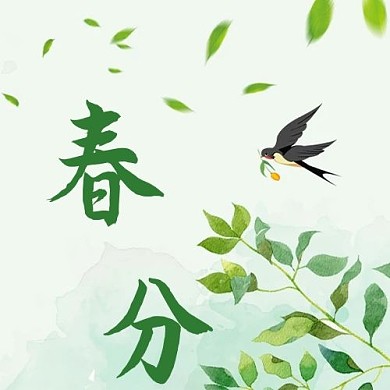 春分燕子绿色简约公众号次图