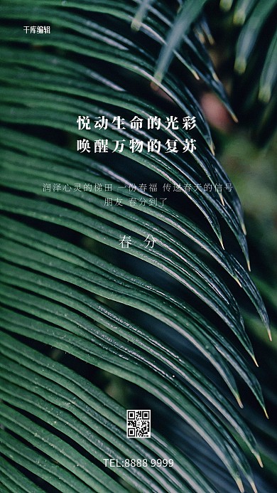 春分绿叶绿色写实海报