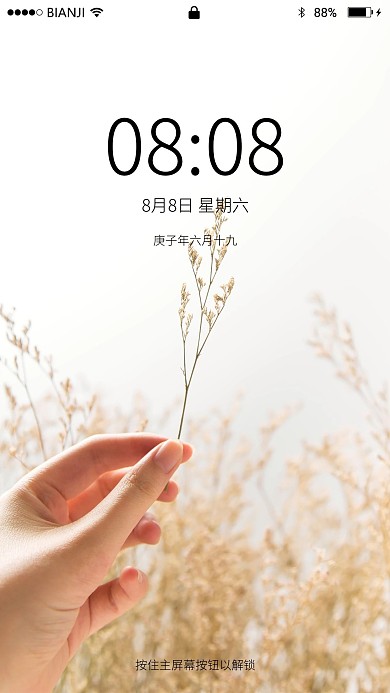 夏日夏至风景图