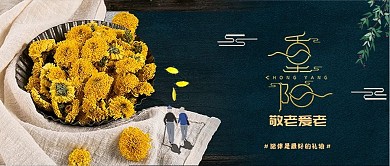 重阳节菊花黑色简约新媒体公众号首图
