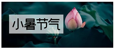 千库编辑原创小暑节气荷花摄影图公众号首图