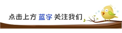 新媒体引导关注树小鸟