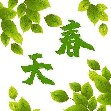 春天树叶绿色简约公众号次图