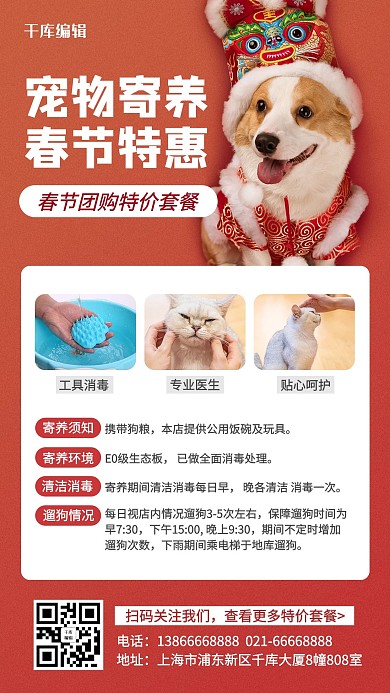 宠物寄养柯基红色简约风手机海报