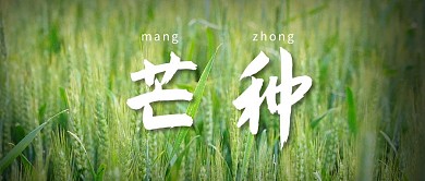 芒种节气大字吸睛摄影图公众号首图