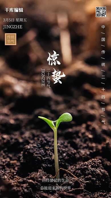 惊蛰芽黄色简约海报