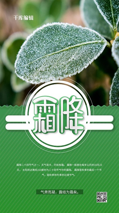 霜降秋天绿色简约海报