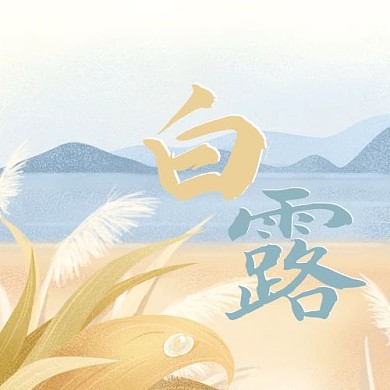 24节气白露芦苇灰棕蓝色国潮中国风公众号次图