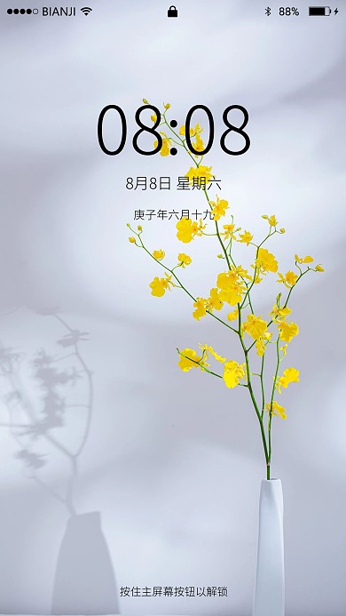 文艺鲜花跳舞兰摄影图壁纸