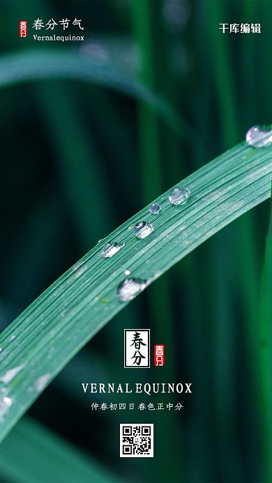 春分植物绿色简约海报