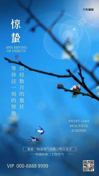 惊蛰节气摄影图蓝色清新简洁海报
