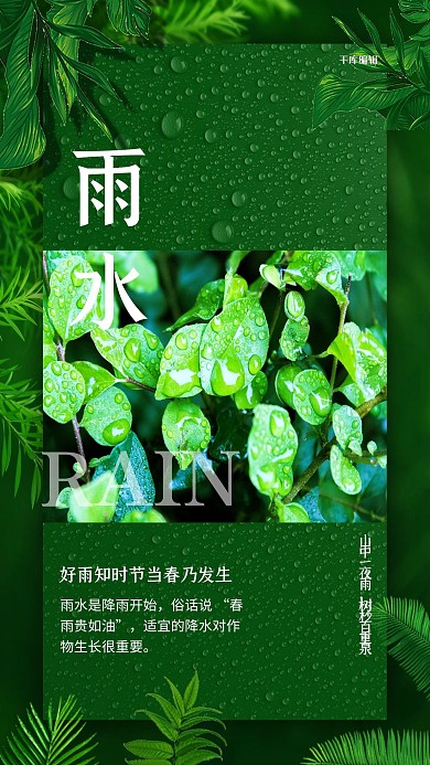 雨水节气树叶绿色清新简洁海报