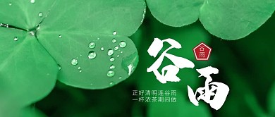 谷雨三叶草绿色摄影风公众号首图