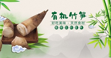 新鲜有机竹笋农产品电商banner