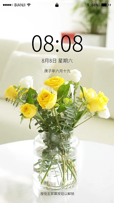 室内鲜花高清摄影