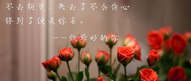 励志鸡汤文字文艺摄影图公众号首图