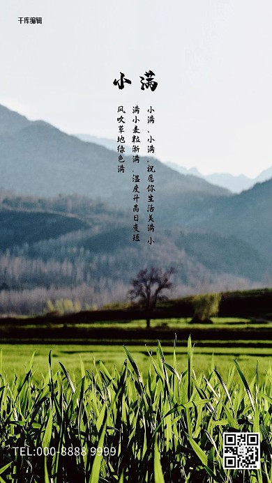 小满田园绿色写实海报