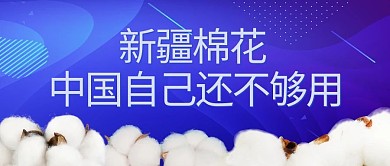 新疆棉花中国自己还不够用棉花蓝色简约公众号首图