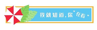节日引导在看矢量图