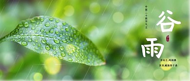 谷雨谷雨绿色模糊公众号首图