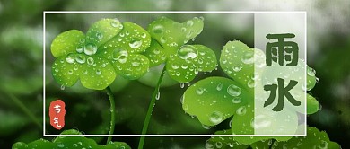 雨水叶子绿色唯美公众号首图