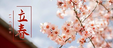 立春立春红色简约公众号首图