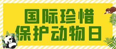 国际珍惜保护动物日黄色简约公众号首图