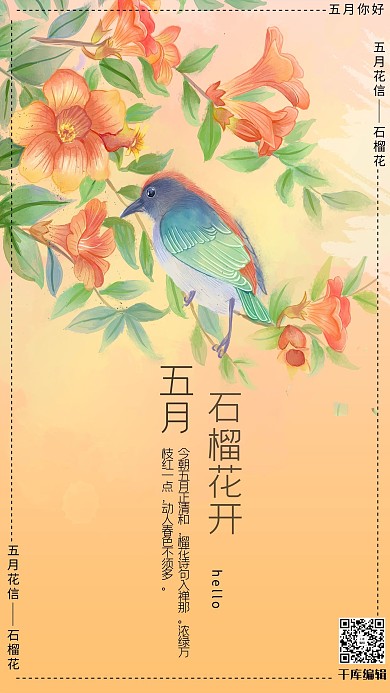 五月你好橘色手绘风十二花信之五月石榴花海报