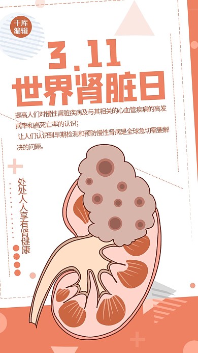 世界肾脏日肾脏红色创意扁平海报