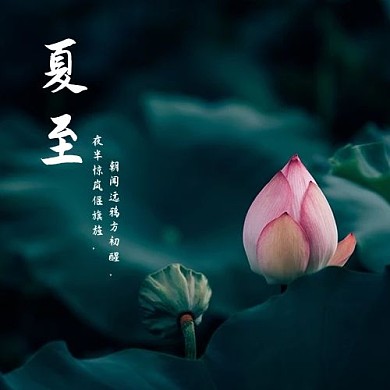 夏至荷叶绿色简约公众号次图