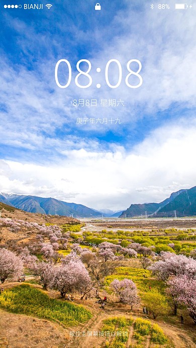 林芝桃花林手机壁纸