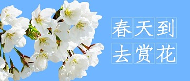 春天赏花蓝色简约公众号首图