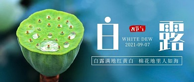 白露莲蓬蓝色简约公众号首图