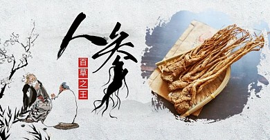 中国风人参养生保健品电商banner