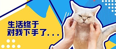 萌宠生活对我下手了黄色蓝色萌宠公众号首图