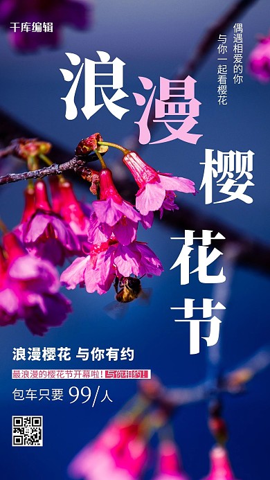 浪漫樱花节樱花蓝色摄影风手机海报