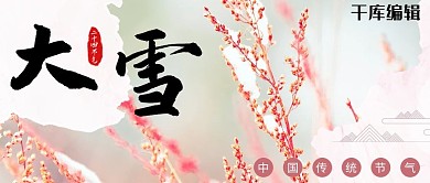 二十四节气大雪粉色小清新公众